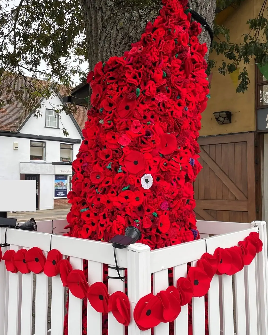 Creative Poppy Tribute to Honour Those Who Served – Thatcham Town